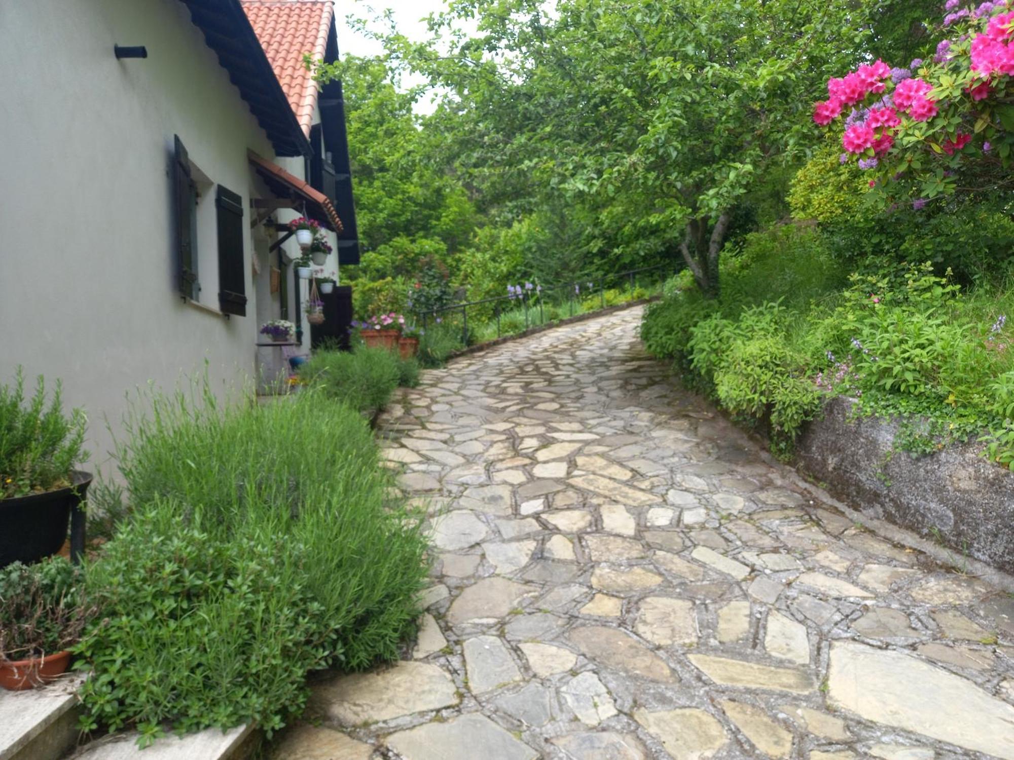 B&B Le Camelie Del Bosco Baiardo Zewnętrze zdjęcie