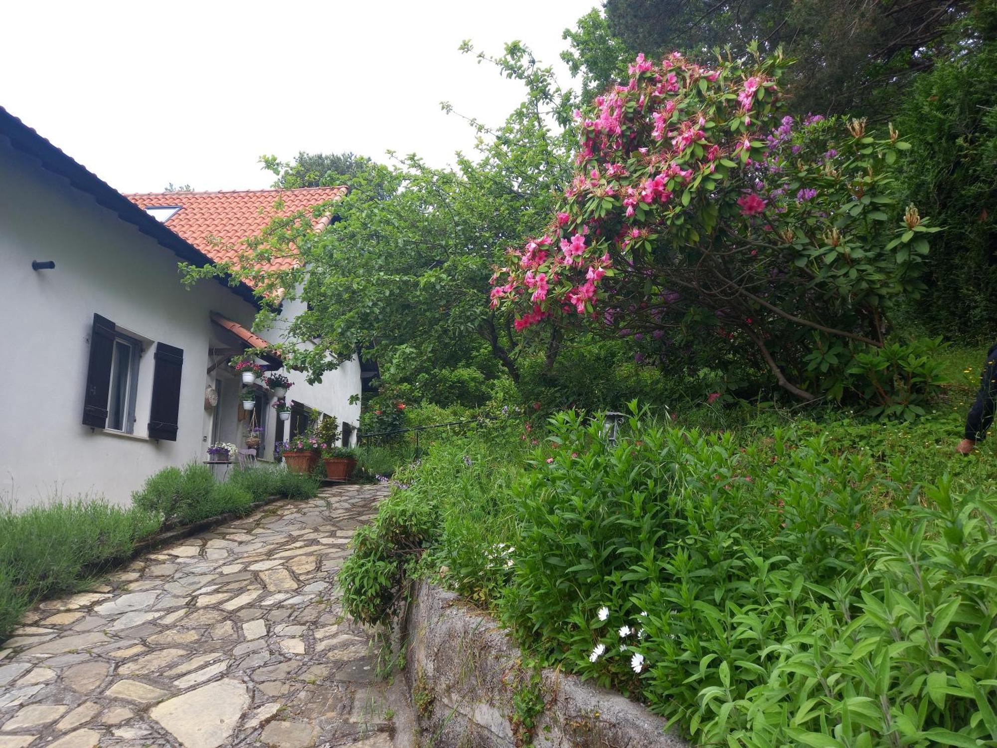 B&B Le Camelie Del Bosco Baiardo Zewnętrze zdjęcie