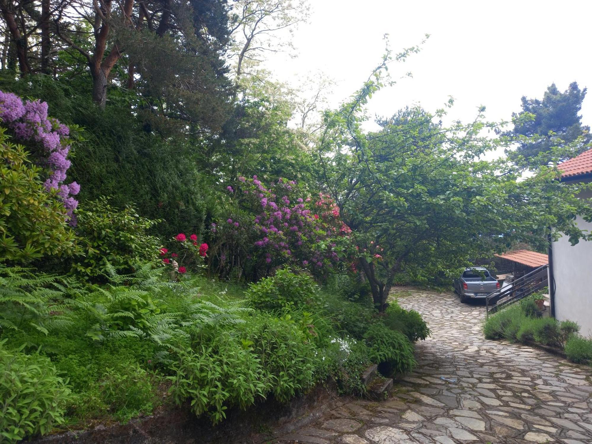 B&B Le Camelie Del Bosco Baiardo Zewnętrze zdjęcie