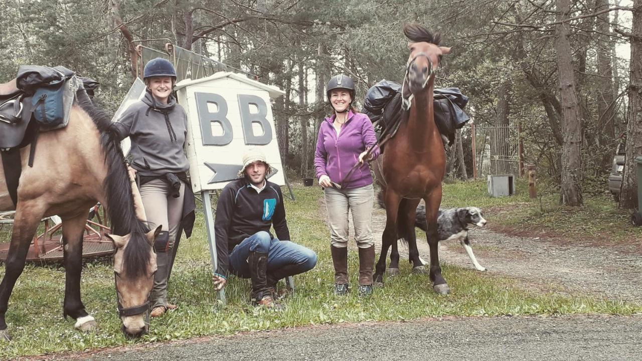 B&B Le Camelie Del Bosco Baiardo Zewnętrze zdjęcie